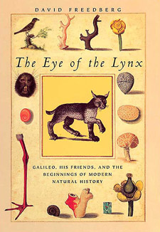 The Eye of the Lynx