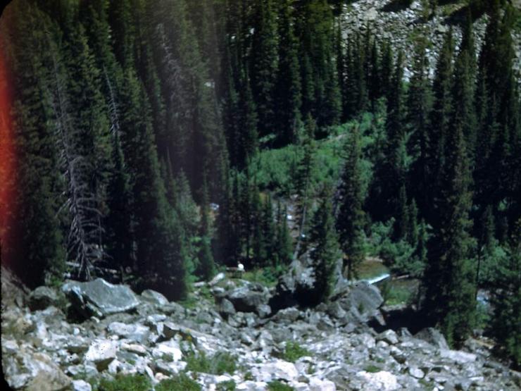 09f Photo #25