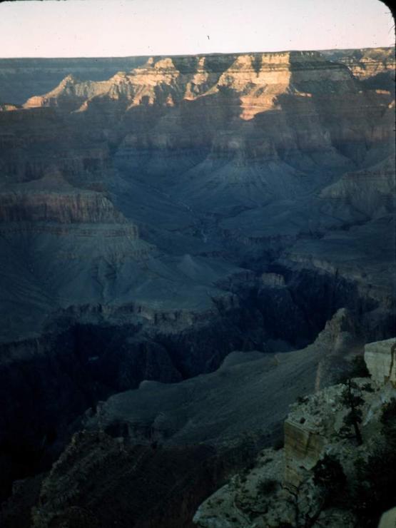 42 Arizona Photo #6