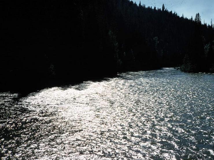 53 Vancouver to Jasper Photo #12