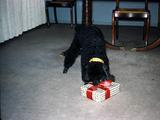 89f Photo #55