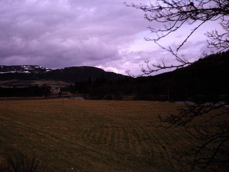 99f Photo #9