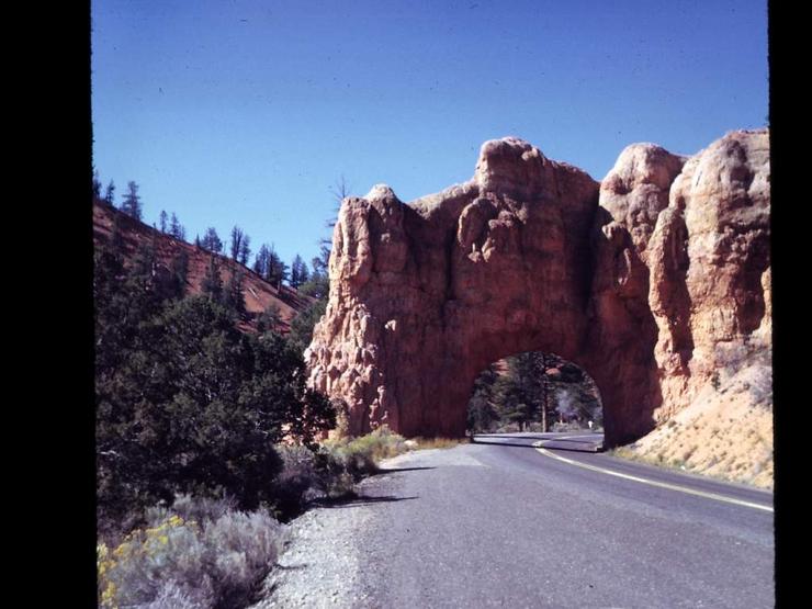 99f Photo #75
