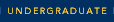 Undergradute information
