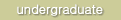 Undergraduate Program