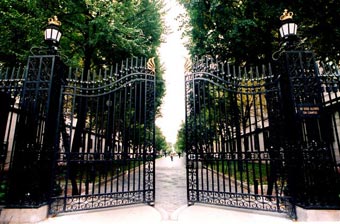 CU Gates