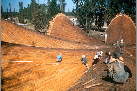 Restaurante Los Manantiales (The Springs Restaurant), Xochimilco, M&eacute;xico. Photograph by Juan Guzm&aacute;n. Manuel Toussaint photographic archive–UNAM