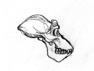 Ancient Gargoyle Man