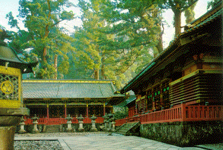The Storage Shed
