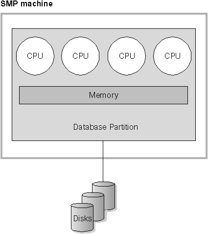 Single Partition Database Symmetric Multiprocessor System