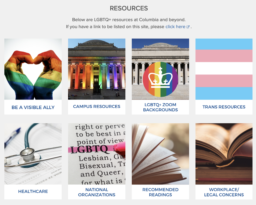 Screenshot of the LGBTQ+ resources on the website