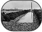 Crowds on the Mall during the March on Washington (1963).